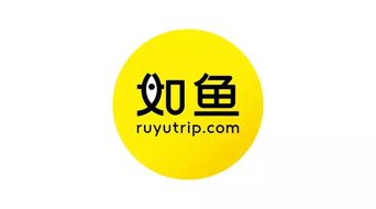 從如魚旅行到如魚蛻變 品牌升級如何重塑創(chuàng)意服務(wù)新體驗